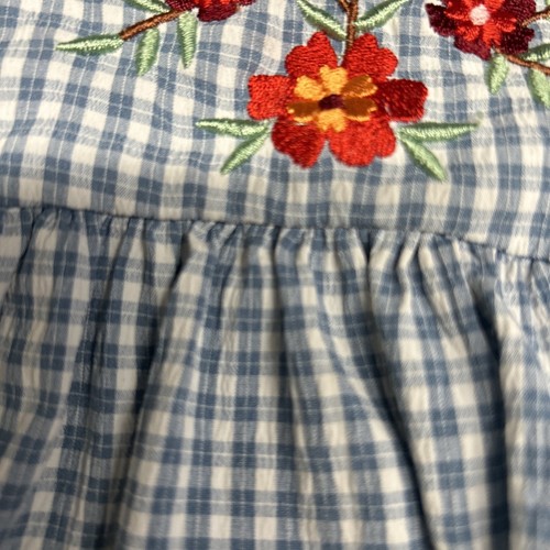 Good Lad blau kariert Vintage Kleid Rüschen bestickt Blume Kleinkind 3T - Bild 5 von 18