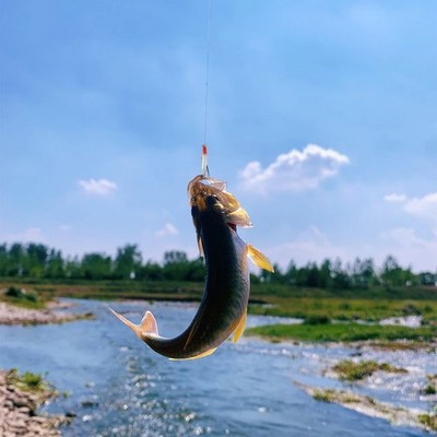 Long Distance Casting Stainless Steel Construction Surf Lure for Tuna Fishing