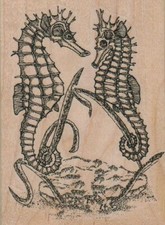 Sello de goma SeaHorses frente a 2 3/4 x 3 3/4", sello de océano, sello de mar