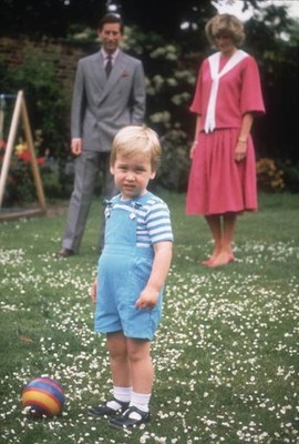 Diana Princess of Wales Charles Prince of Wales in gardens of Kens- Old Photo
