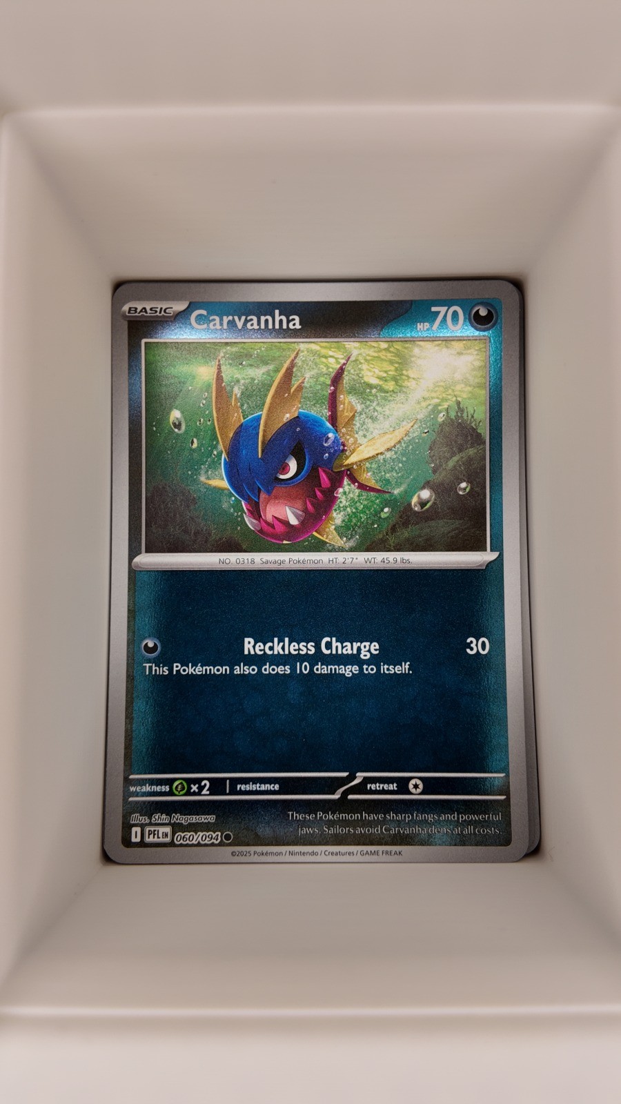 Carvanha 060/094 Reverse Holo POKEMON ME02: Phantasmal Flames ENG LP