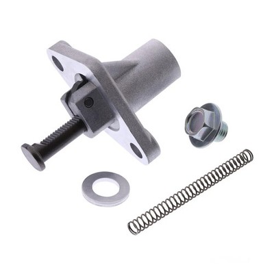 Steuerkettenspanner Originalersatzteil 289919