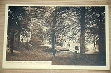 41765 AK Bohemia Bad Hammer am See Ruin Dewin Forest with Hiker around 1927