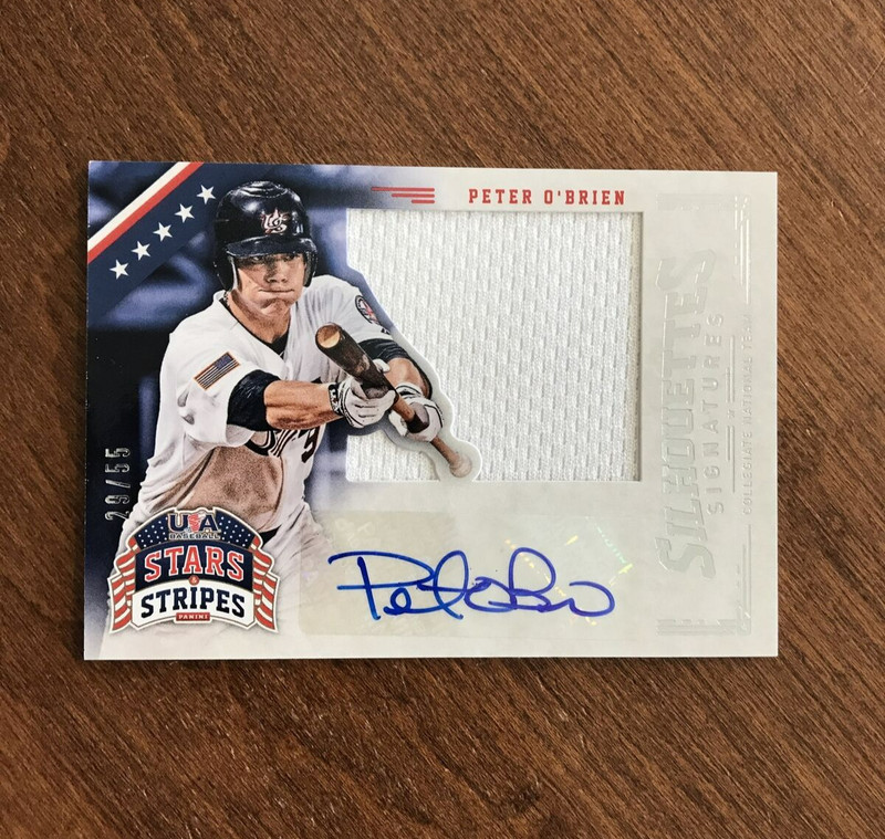 Peter O'Brien 2015 USA Baseball Stars Silhouettes Patch Auto #82 Diamondback /55