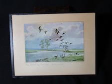 Lovely Vintage Peter Scott Signed Print The Flash By Two Trees