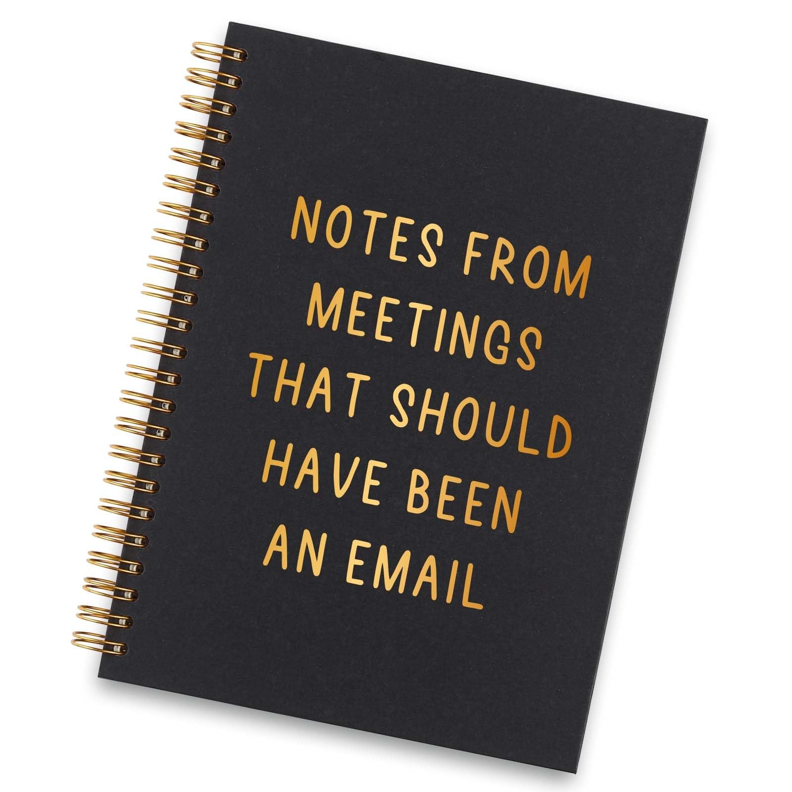 Funny Spiral Notebooks, Funny Gag Gifts Notebook, Coworker Sarcastic Humorous...