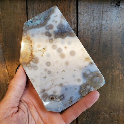 Ocean Jasper Translucent White Orbicular Dendritic Crystal Slice Slab 222 grams