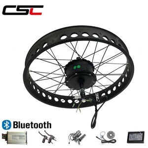 ebay ebike conversion kit