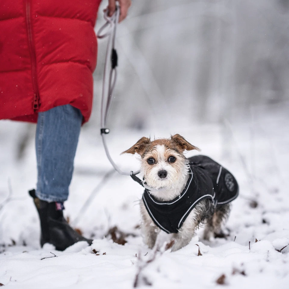 Hunter Hundemantel Uppsala Softshell schwarz - Wasserabweisend & Winddicht - Bild 3 von 4