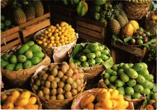 PC PHILIPPINES, TROPICAL FRUITS, Modern Postc...