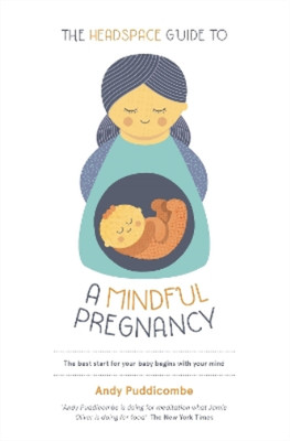 Andy Puddicombe The Headspace Guide To...A Mindful Pregnancy (Taschenbuch)