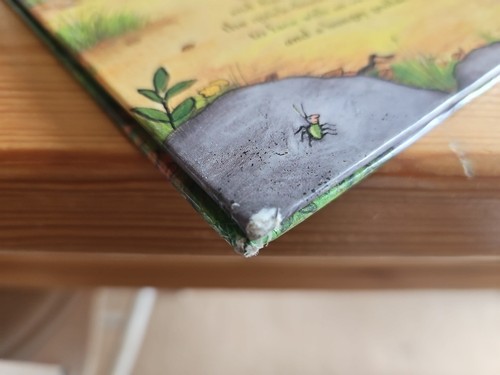 1999 First Edition Julia Donaldson The Gruffalo - Picture 11 of 11
