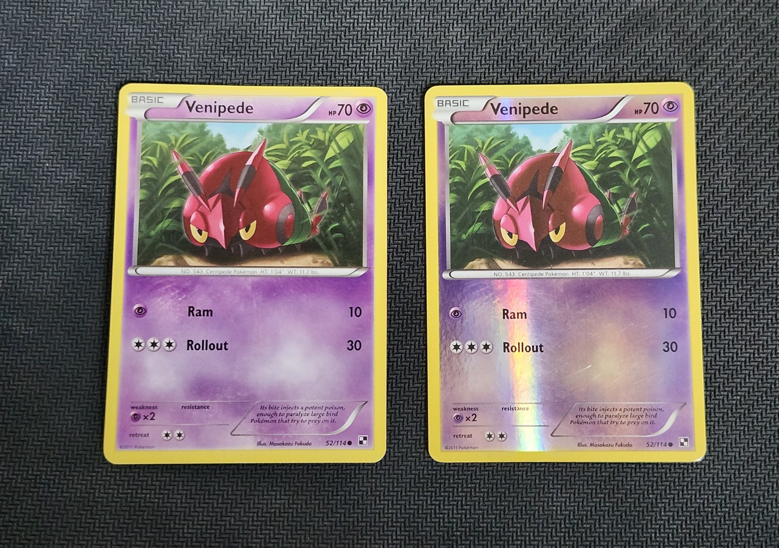 Pokemon Venipede 52/114 Non Holo & Reverse Holo Black & White Base Set