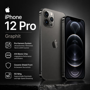 Apple iPhone 12 Pro 256 GB Graphit - Zustand Sehr Gut - New Display
