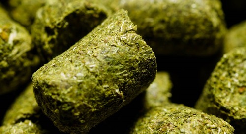 KIT DE CERVEZA CASERA PAQUETE DE PAPEL DE NITRÓGENO HOPS HOP PELLETS EAST KENT GOLDING 1 oz - Imagen 2 de 11