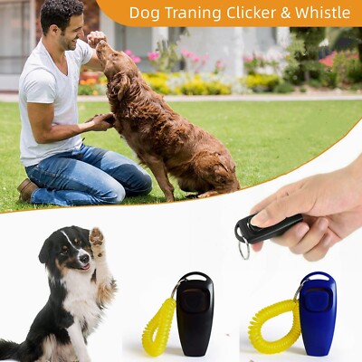 Training Peach On A Leash Dog Training Puppy Leash Reactive