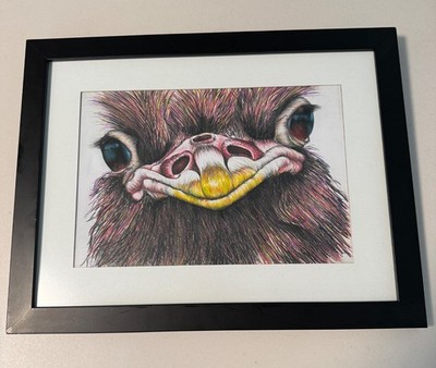 Original Framed Ostrich Portrait Drawing / Colored Pencil Bird Art with UV-Glass