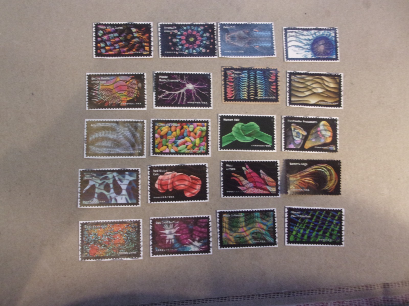 Picture 1 of 1