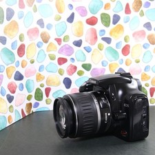 Canon EOS Kiss Digital SLR Camera, Popular Model, New Battery, Used