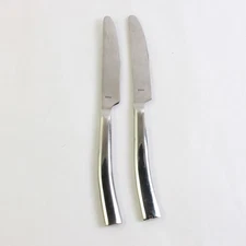 2 Piece Set Artisanware Soho 18/0 Stainless Steel Dinner Knives