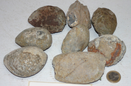 1 kg Achat und Quarz Geoden Mexiko Rohstein zum Aufschneiden 9919 1 kg Achat und Quarz Geoden Mexiko Rohstein zum Aufschneiden 9919