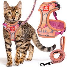 Adjustable Travel Cat and Kitten Harness and Leash Set - Escape Proof Breathable