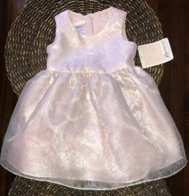 BonnieJean BonnieBaby Ice Pink Dress Silver Detail Overlay S14910-PV 24  Months