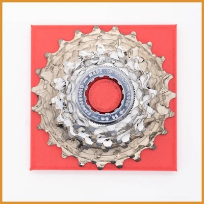 CAMPAGNOLO RECORD TITANIUM 10 SPEED CASSETTE 11 21 RENNRAD FAHRRAD ZAHNRAD... - Bild 1 von 4