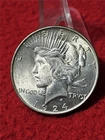 1924 HIGH GRADE Silver Peace Dollar  YOU Versus ME Grading Wars         #T2405