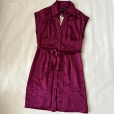 inc international concepts 100% Pure Silk Ruby Ribbon Sz 12 Dress NWT