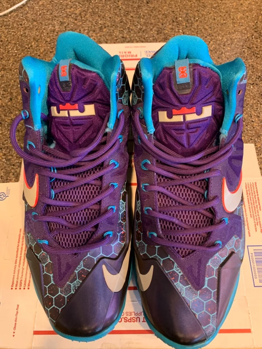 Nike lebron 11 hotsell summit lake hornets