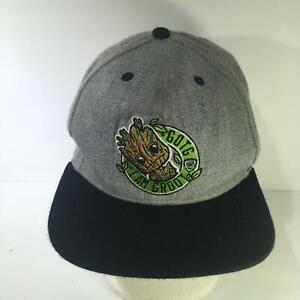 groot snapback