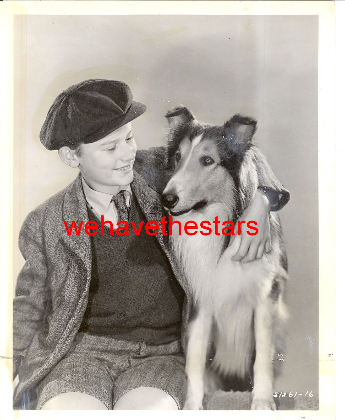 Vintage Roddy McDowall  Lassie '40s Publicity Portrait