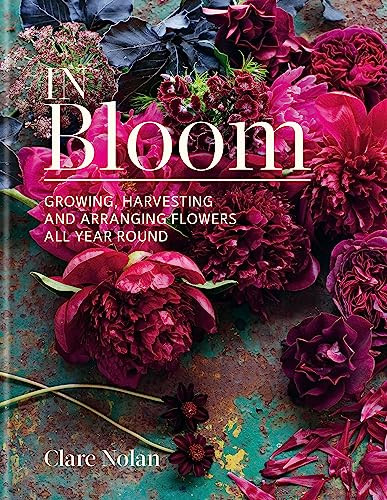 In Bloom By Clare Nolan - Image 11