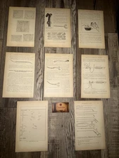 1915 Appleton Gynecology Surgical Instrument Pages (8) Medical Antique Images