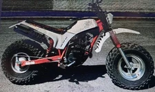 Vintage 1986 Yamaha Big Wheel BW200 dirt bike motorcycle Rare HTF