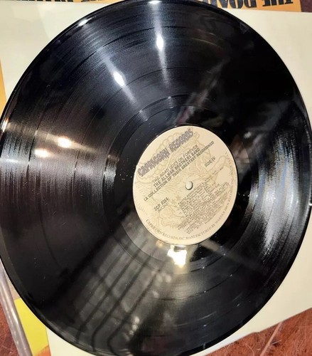 The Allman Brothers Band The Road Goes On Forever 2LP Vinyl Record Set MINT - Picture 7 of 18