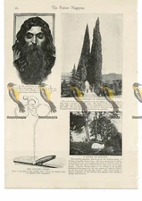 Illusions, Santorso Cypresses & Cycling Craze, Book Illustration (Print), 1895