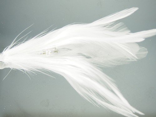 Feather Crystal Rhinestone GiftBox PartyFavor Embellishment Wedding BridalShower - Picture 2 of 5