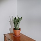 Picture 6 of 12