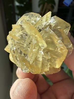 Gypsum var Golden Selenite Red River Floodway~ Winnipeg