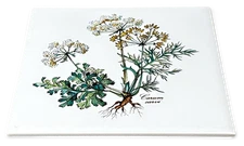 Villeroy & Boch Botanica Trivet Square Carum Carvi France