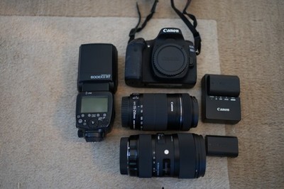Canon 80D camera w/Sigma 18-35mm and Canon 55-250mm lenses - Excellent Shape!