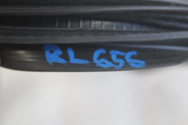 Cadillac CT5 2020 2021 lado izquierdo del conductor puerta trasera jamba sellado resistente a la intemperie Foto 4 de 4