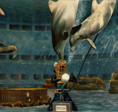 1963 Porpoise Marineland of the Pacific, Palos Verdes CA Vintage Postcard Posted