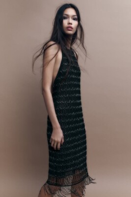 NWT ZARA EMBROIDERED DRESS WITH BEADING S $139 7521
