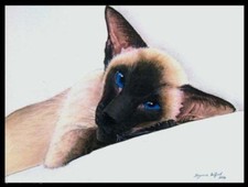 LARGE LIMITED EDITION SEALPOINT SIAMESE CAT PAINTING PRINT BY SUZANNE LE GOOD