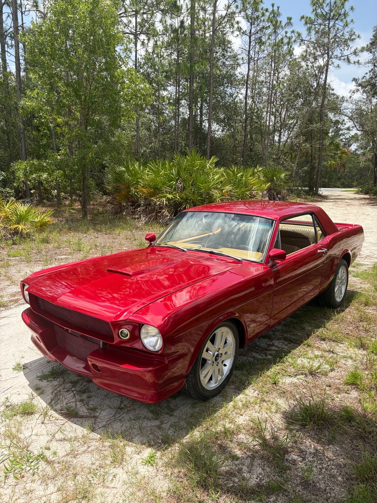 1966 Ford Mustang for sale in Crystal River Florida