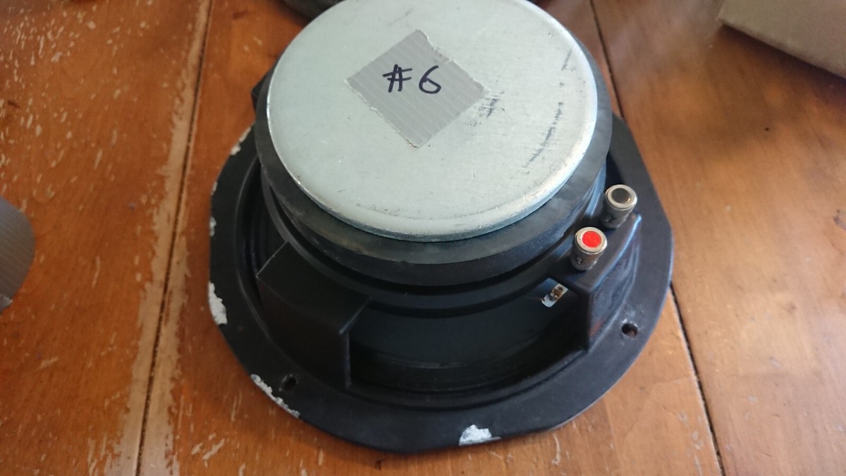 SWR GOLIATH 10