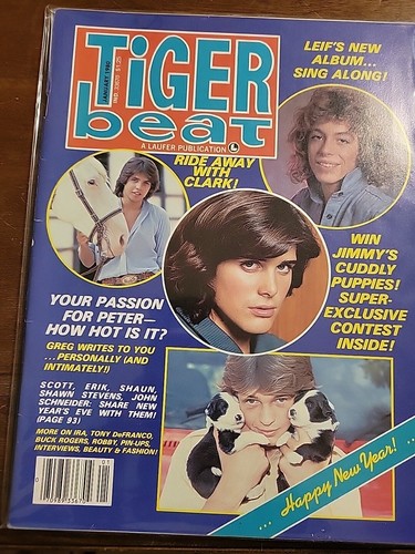 Tiger Beat Magazine January 1980- Leif Garrett Shaun Cassidy Scott Baio - Picture 2 of 4